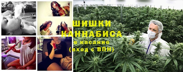 крисы Нягань