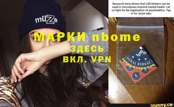 амф Новодвинск