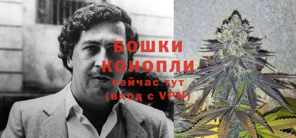 МДПВ Новозыбков