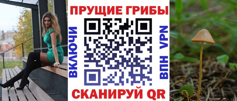 Псилоцибиновые грибы GOLDEN TEACHER Асбест