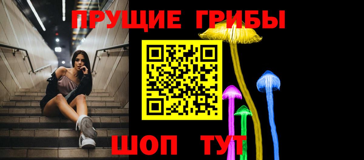 Галлюциногенные грибы Psilocybe Асбест